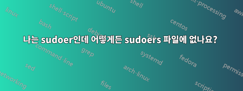 나는 sudoer인데 어떻게든 sudoers 파일에 없나요?