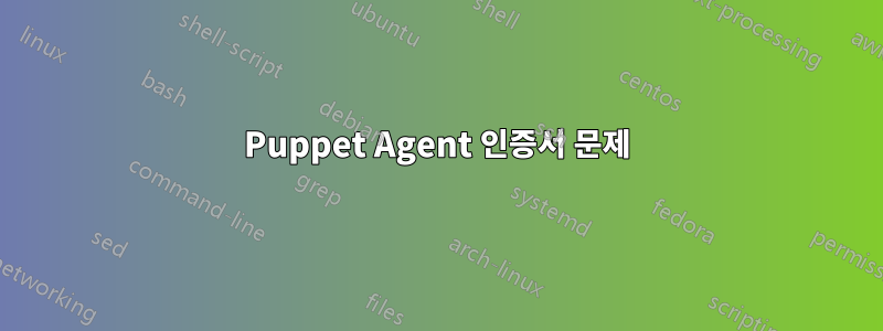 Puppet Agent 인증서 문제