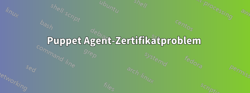 Puppet Agent-Zertifikatproblem