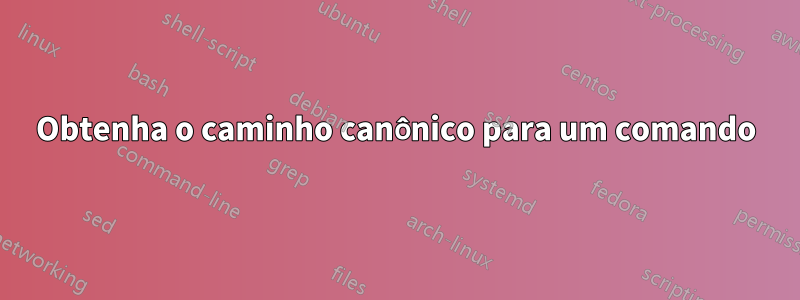 Obtenha o caminho canônico para um comando