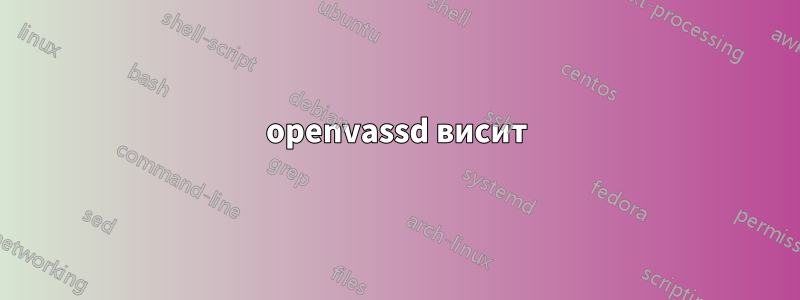 openvassd висит