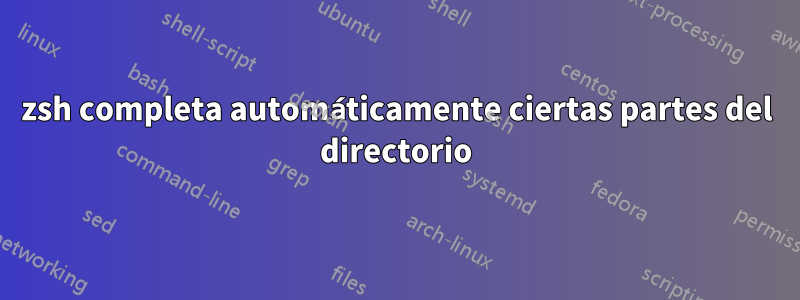 zsh completa automáticamente ciertas partes del directorio