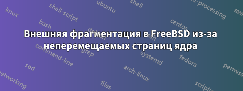 Внешняя фрагментация в FreeBSD из-за неперемещаемых страниц ядра