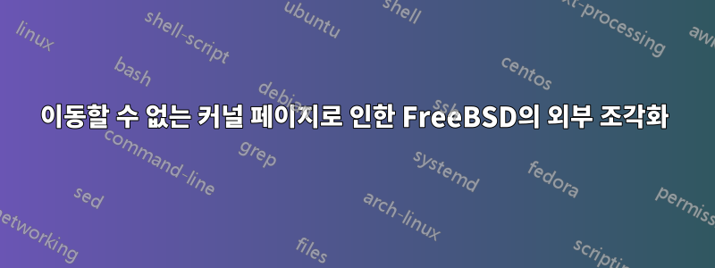 이동할 수 없는 커널 페이지로 인한 FreeBSD의 외부 조각화