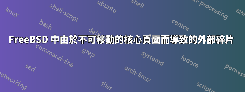 FreeBSD 中由於不可移動的核心頁面而導致的外部碎片