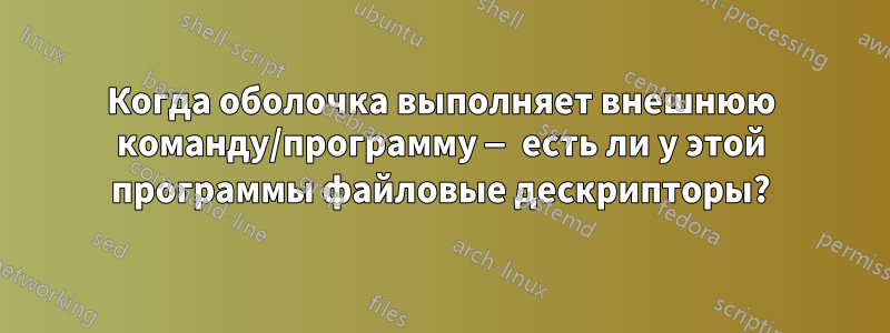 Когда оболочка выполняет внешнюю команду/программу — есть ли у этой программы файловые дескрипторы?