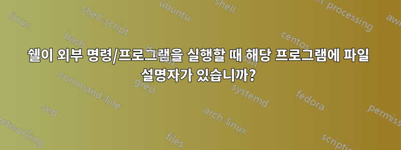 쉘이 외부 명령/프로그램을 실행할 때 해당 프로그램에 파일 설명자가 있습니까?