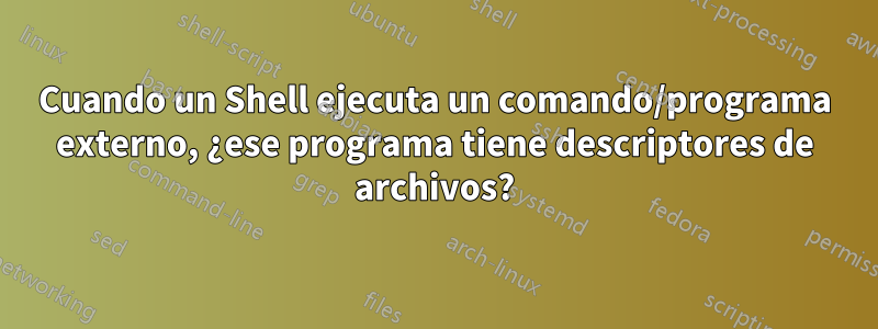 Cuando un Shell ejecuta un comando/programa externo, ¿ese programa tiene descriptores de archivos?