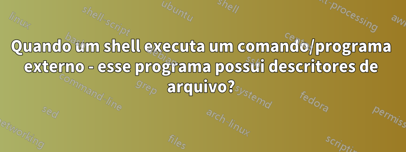 Quando um shell executa um comando/programa externo - esse programa possui descritores de arquivo?