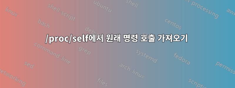 /proc/self에서 원래 명령 호출 가져오기