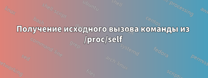 Получение исходного вызова команды из /proc/self