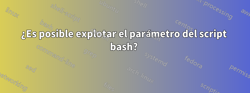 ¿Es posible explotar el parámetro del script bash?