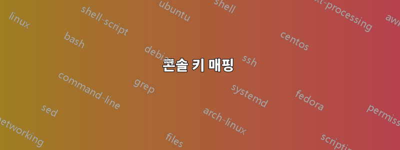 콘솔 키 매핑