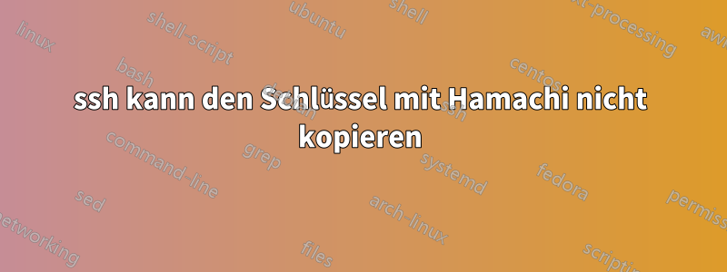 ssh kann den Schlüssel mit Hamachi nicht kopieren