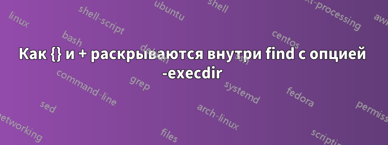 Как {} и + раскрываются внутри find с опцией -execdir