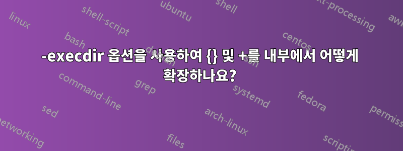 -execdir 옵션을 사용하여 {} 및 +를 내부에서 어떻게 확장하나요?