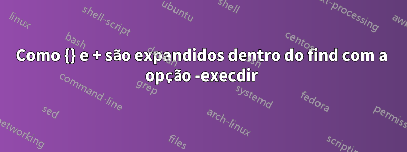 Como {} e + são expandidos dentro do find com a opção -execdir