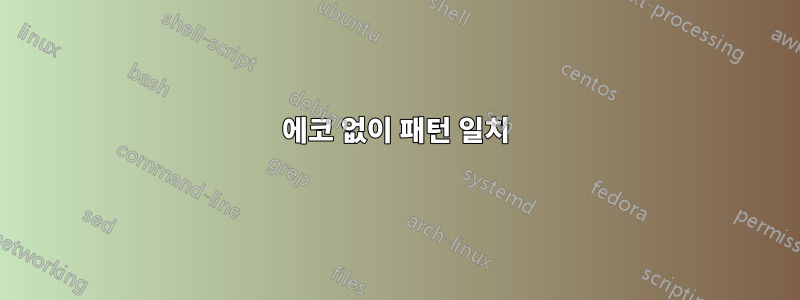 에코 없이 패턴 일치