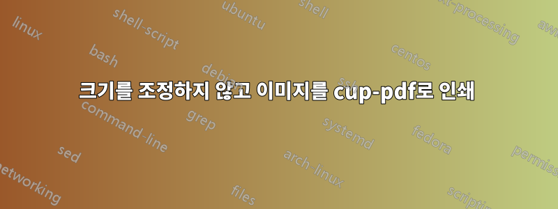 크기를 조정하지 않고 이미지를 cup-pdf로 인쇄