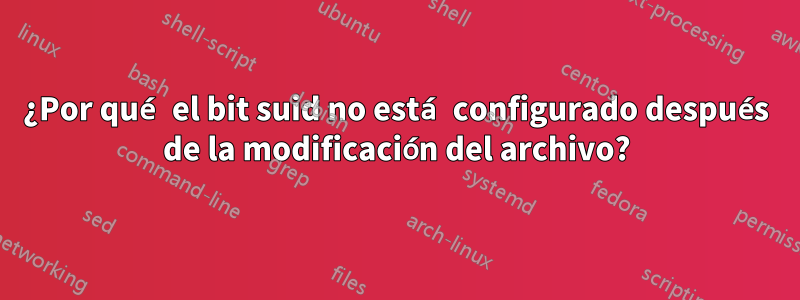 ¿Por qué el bit suid no está configurado después de la modificación del archivo?