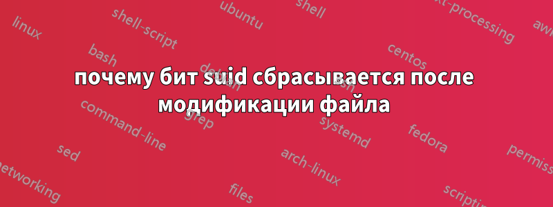 почему бит suid сбрасывается после модификации файла