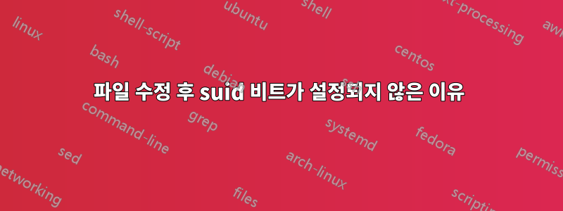 파일 수정 후 suid 비트가 설정되지 않은 이유