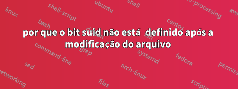 por que o bit suid não está definido após a modificação do arquivo