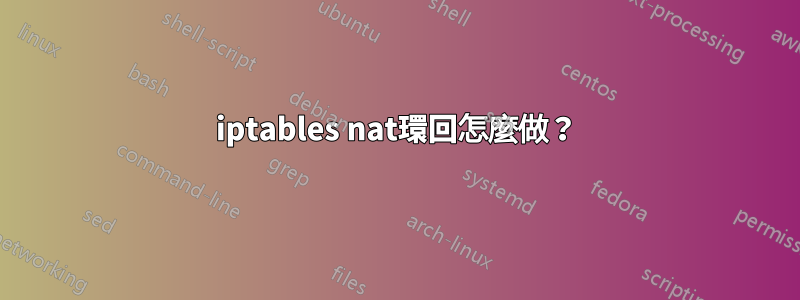 iptables nat環回怎麼做？