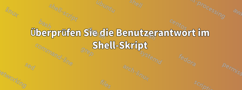 Überprüfen Sie die Benutzerantwort im Shell-Skript