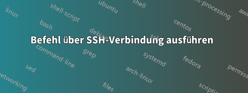 Befehl über SSH-Verbindung ausführen 