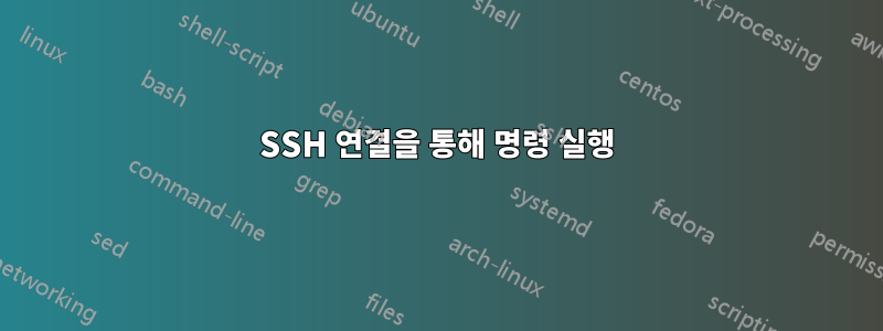 SSH 연결을 통해 명령 실행