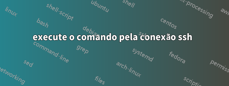 execute o comando pela conexão ssh 