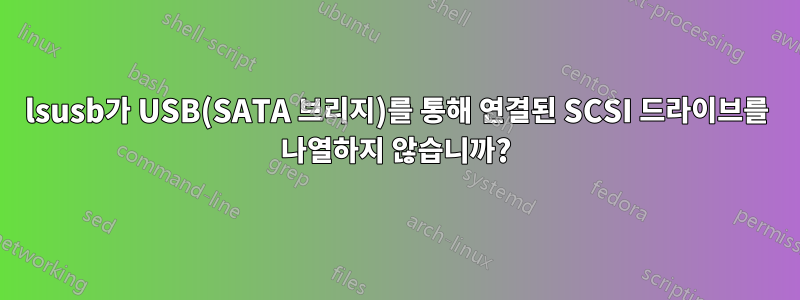 lsusb가 USB(SATA 브리지)를 통해 연결된 SCSI 드라이브를 나열하지 않습니까?