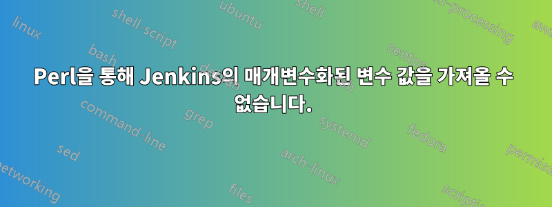 Perl을 통해 Jenkins의 매개변수화된 변수 값을 가져올 수 없습니다.