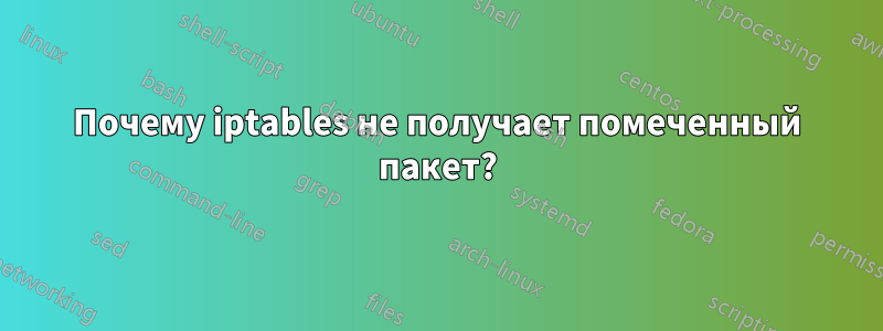 Почему iptables не получает помеченный пакет?