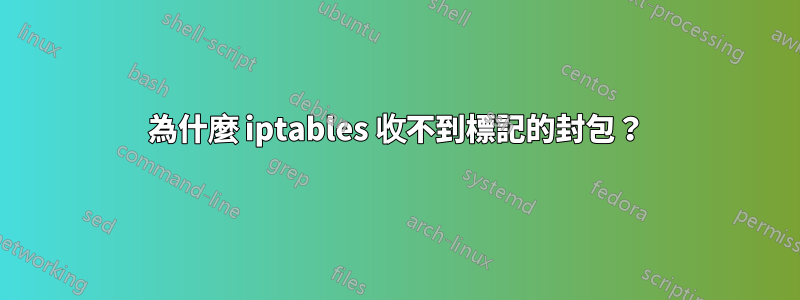 為什麼 iptables 收不到標記的封包？