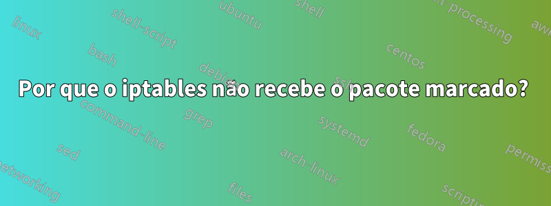 Por que o iptables não recebe o pacote marcado?