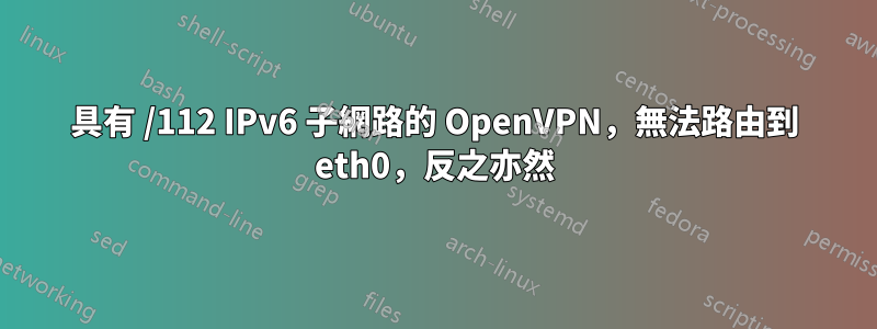 具有 /112 IPv6 子網路的 OpenVPN，無法路由到 eth0，反之亦然