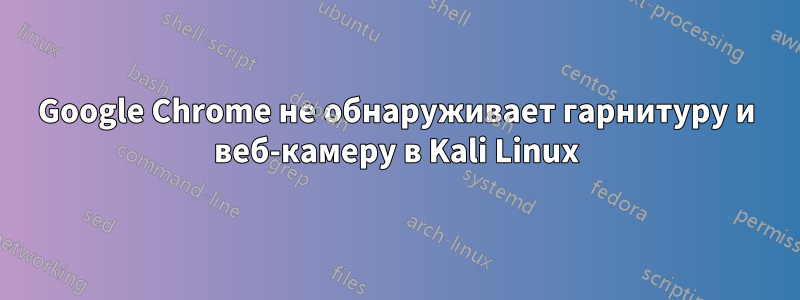 Google Chrome не обнаруживает гарнитуру и веб-камеру в Kali Linux