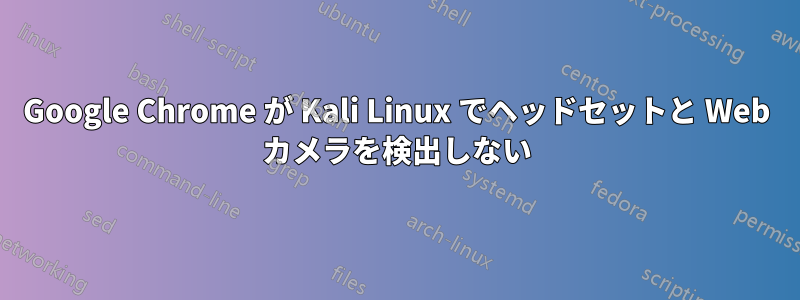 Google Chrome が Kali Linux でヘッドセットと Web カメラを検出しない