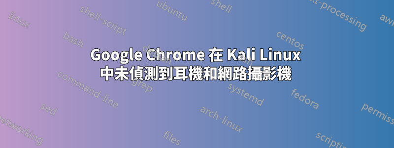 Google Chrome 在 Kali Linux 中未偵測到耳機和網路攝影機