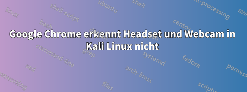 Google Chrome erkennt Headset und Webcam in Kali Linux nicht