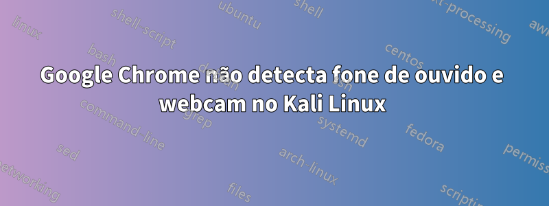 Google Chrome não detecta fone de ouvido e webcam no Kali Linux