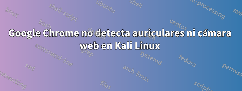 Google Chrome no detecta auriculares ni cámara web en Kali Linux