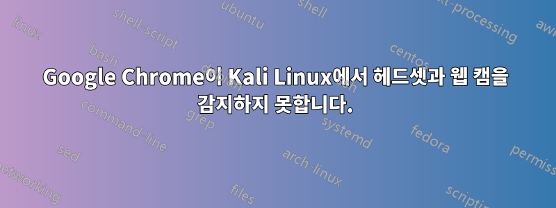 Google Chrome이 Kali Linux에서 헤드셋과 웹 캠을 감지하지 못합니다.