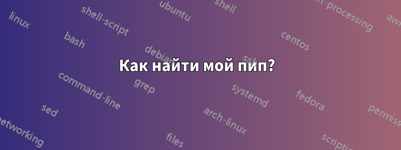 Как найти мой пип? 