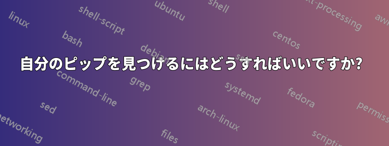 自分のピップを見つけるにはどうすればいいですか? 