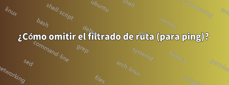 ¿Cómo omitir el filtrado de ruta (para ping)?