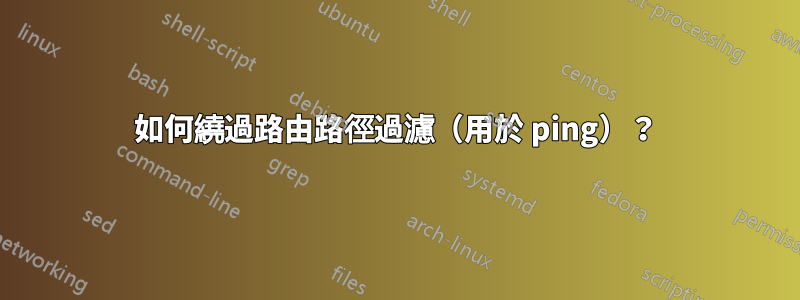 如何繞過路由路徑過濾（用於 ping）？