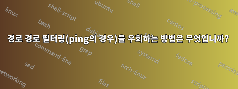 경로 경로 필터링(ping의 경우)을 우회하는 방법은 무엇입니까?